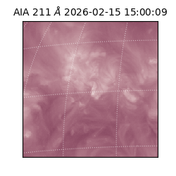 saia - 2026-02-15T15:00:09.626000
