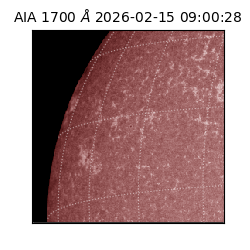 saia - 2026-02-15T09:00:28.721000