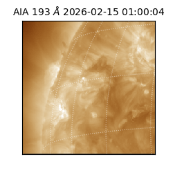 saia - 2026-02-15T01:00:04.843000