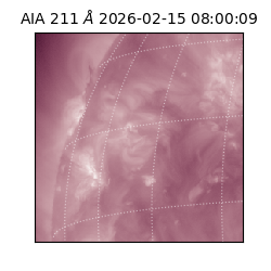 saia - 2026-02-15T08:00:09.626000
