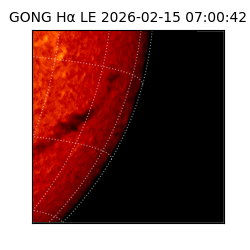 gong - 2026-02-15T07:00:42