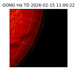 gong - 2026-02-15T11:00:22