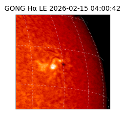 gong - 2026-02-15T04:00:42