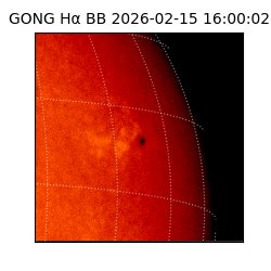 gong - 2026-02-15T16:00:02