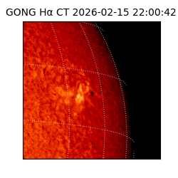 gong - 2026-02-15T22:00:42