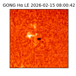 gong - 2026-02-15T08:00:42