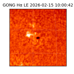 gong - 2026-02-15T10:00:42