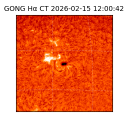 gong - 2026-02-15T12:00:42
