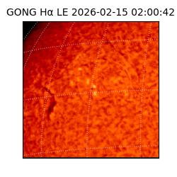 gong - 2026-02-15T02:00:42