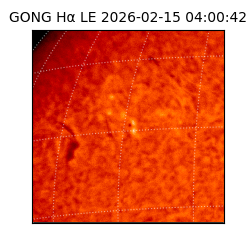 gong - 2026-02-15T04:00:42