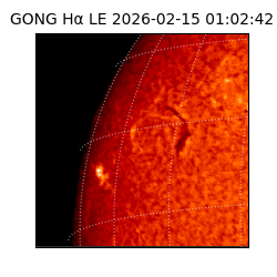 gong - 2026-02-15T01:02:42