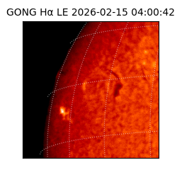gong - 2026-02-15T04:00:42