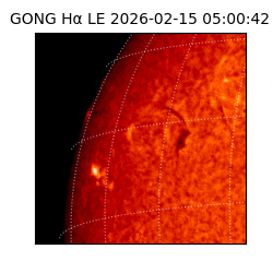 gong - 2026-02-15T05:00:42