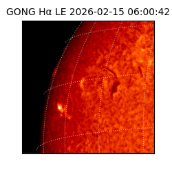 gong - 2026-02-15T06:00:42