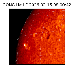 gong - 2026-02-15T08:00:42