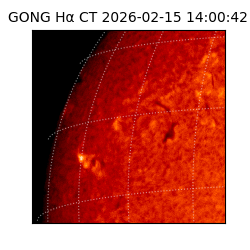 gong - 2026-02-15T14:00:42