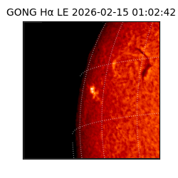 gong - 2026-02-15T01:02:42