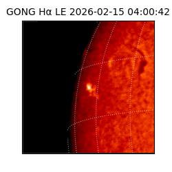 gong - 2026-02-15T04:00:42