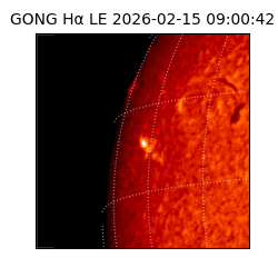 gong - 2026-02-15T09:00:42