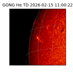 gong - 2026-02-15T11:00:22