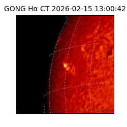 gong - 2026-02-15T13:00:42