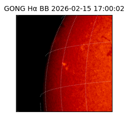gong - 2026-02-15T17:00:02