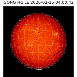gong - 2026-02-15T04:00:42