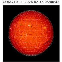 gong - 2026-02-15T05:00:42
