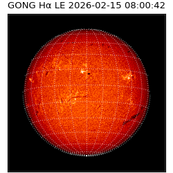 gong - 2026-02-15T08:00:42