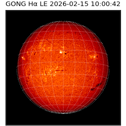 gong - 2026-02-15T10:00:42