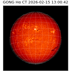 gong - 2026-02-15T13:00:42