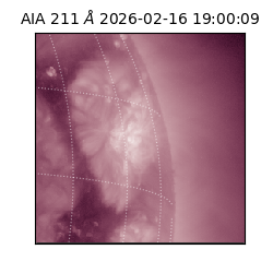 saia - 2026-02-16T19:00:09.626000