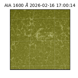saia - 2026-02-16T17:00:14.129000