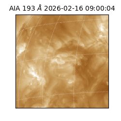 saia - 2026-02-16T09:00:04.843000