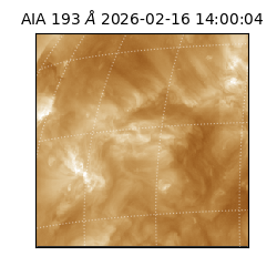 saia - 2026-02-16T14:00:04.843000