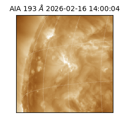 saia - 2026-02-16T14:00:04.843000