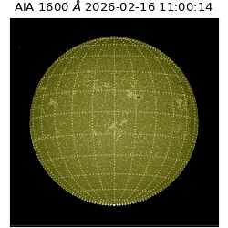 saia - 2026-02-16T11:00:14.125000