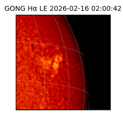 gong - 2026-02-16T02:00:42