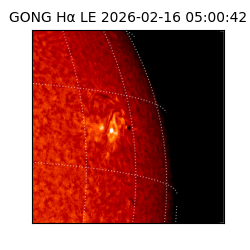 gong - 2026-02-16T05:00:42