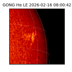 gong - 2026-02-16T08:00:42
