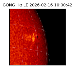 gong - 2026-02-16T10:00:42