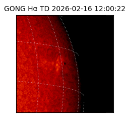 gong - 2026-02-16T12:00:22