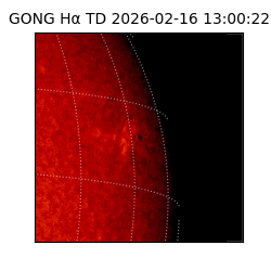 gong - 2026-02-16T13:00:22