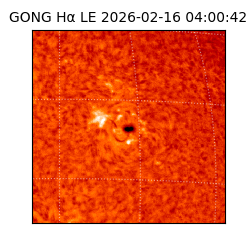 gong - 2026-02-16T04:00:42