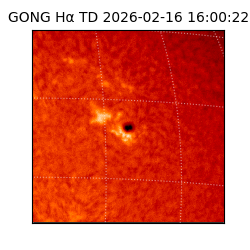 gong - 2026-02-16T16:00:22
