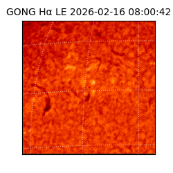 gong - 2026-02-16T08:00:42
