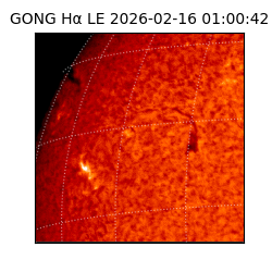 gong - 2026-02-16T01:00:42
