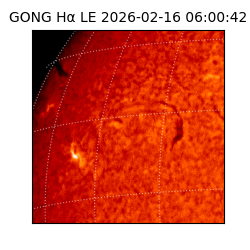 gong - 2026-02-16T06:00:42