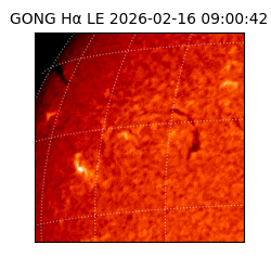 gong - 2026-02-16T09:00:42