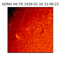 gong - 2026-02-16T12:00:22